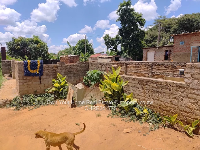 Nharira views, Norton stand for sal 