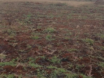 Farm & Agricultural Land