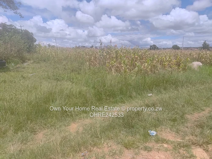 Chipukutu Park stand for sale