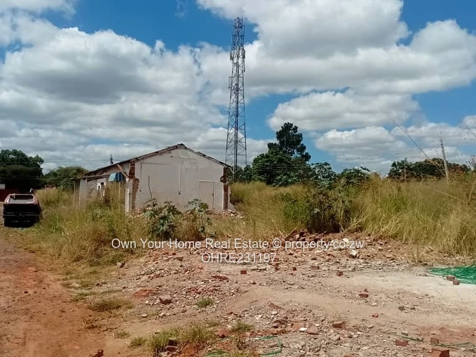 Chadcombe Cluster Stand