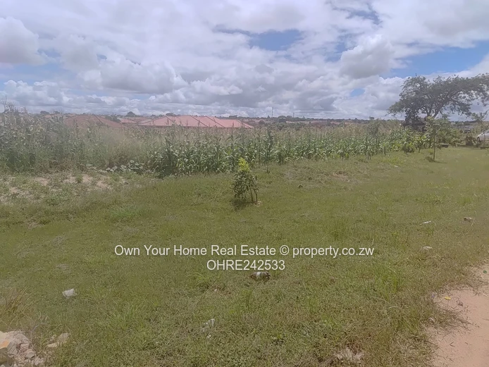 Chipukutu Park stand for sale