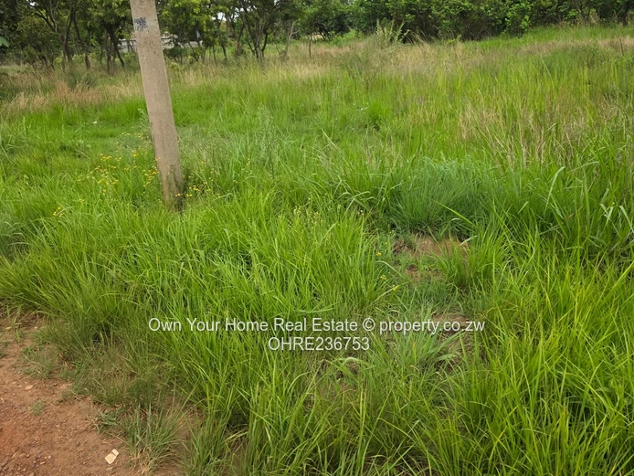 Mabelreign Residential stands