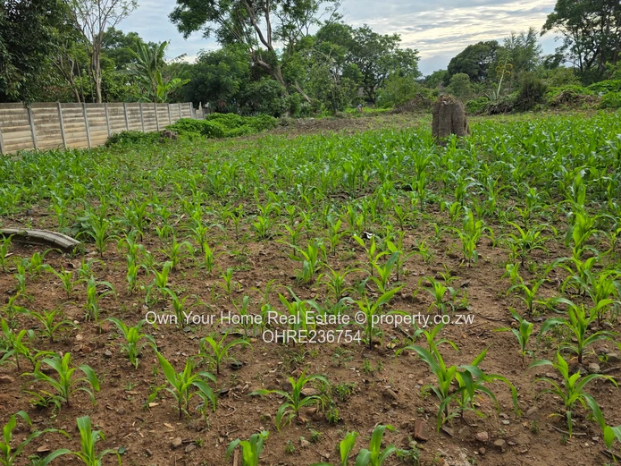 Mabelreign Meryick Park Residential Stand