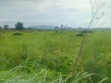 Farm & Agricultural Land