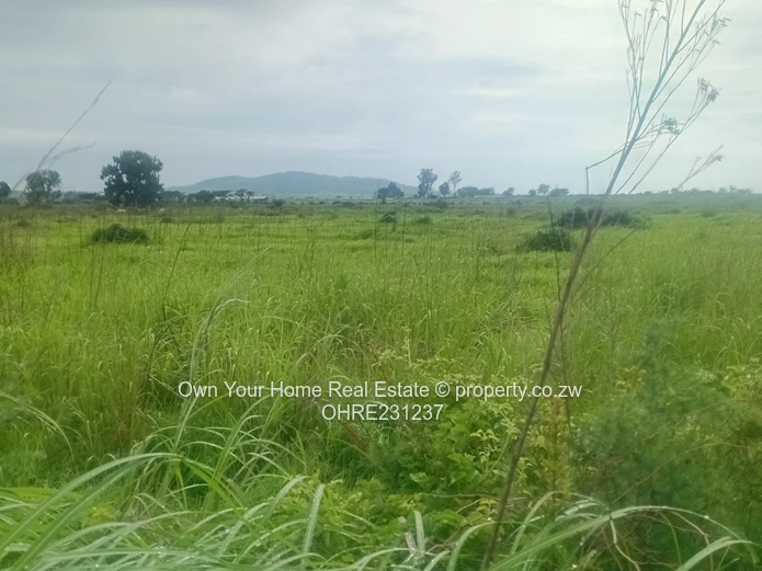 Mount Hampden Plot For Sale