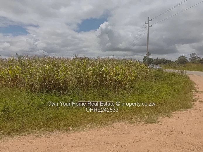 Chipukutu Park stand for sale