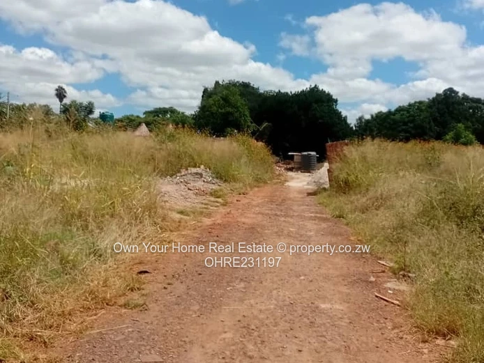 Chadcombe Cluster Stand