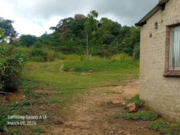 Stands & Residential Land