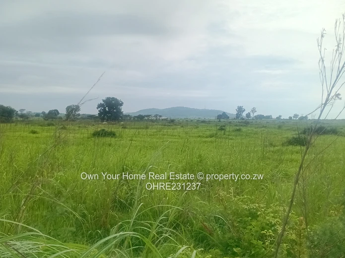 Mount Hampden Plot For Sale