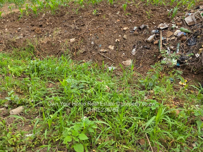 Mabelreign Residential stands