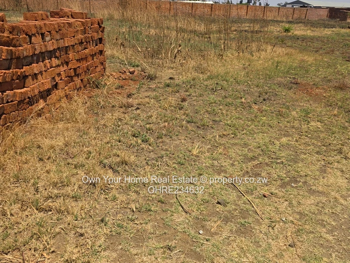 Sandton Commercial Rental (Sole Mandate)