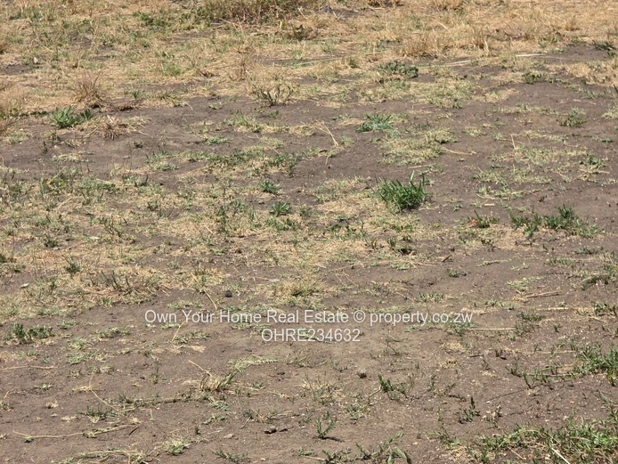 Sandton Commercial Rental (Sole Mandate)