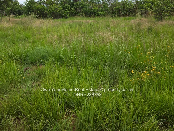 Mabelreign Residential stands