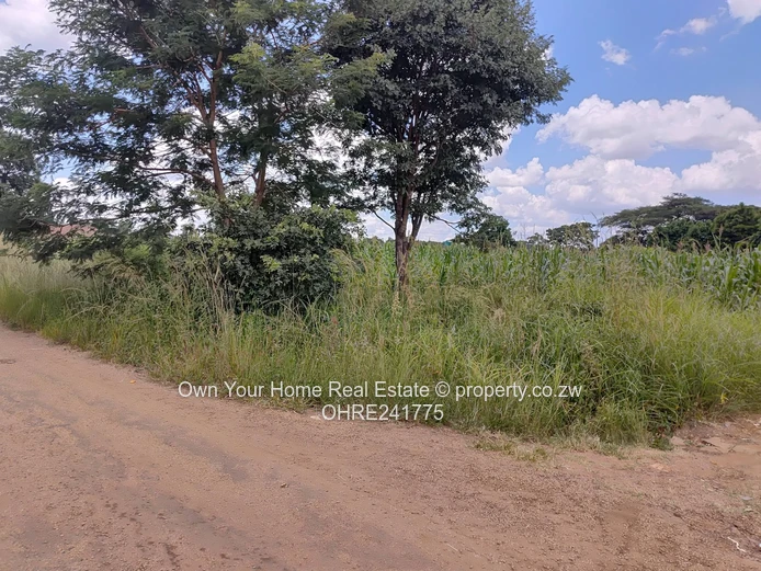 Nharira views, Norton stand for sal 