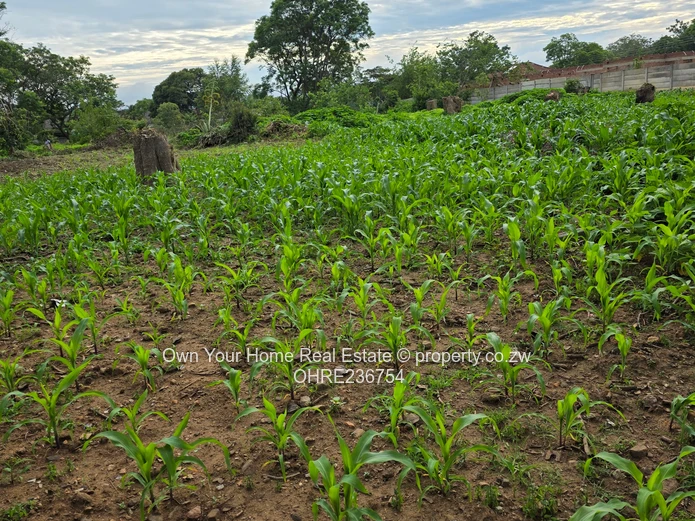 Mabelreign Meryick Park Residential Stand