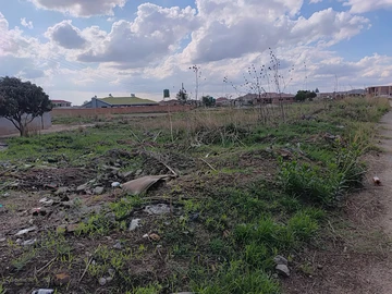 Stands & Residential Land