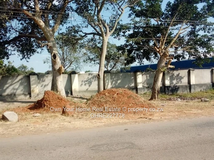 Msasa Commercial Stand For Sale 