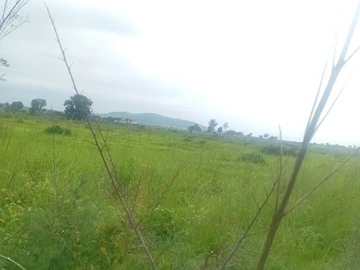 Farm & Agricultural Land