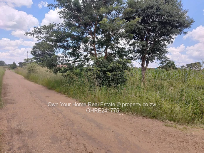 Nharira views, Norton stand for sal 