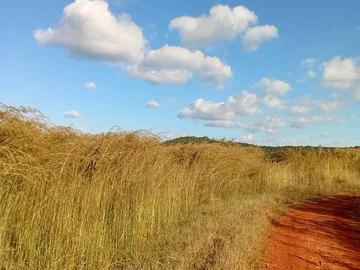 Farm & Agricultural Land
