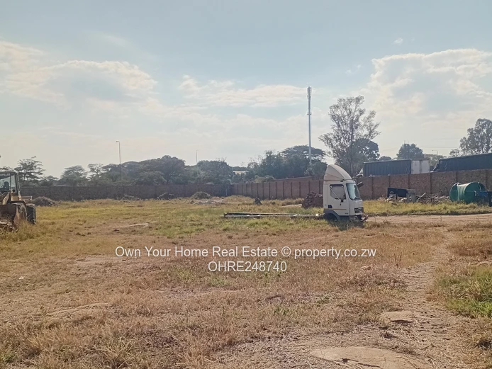 Msasa Commercial Stand 