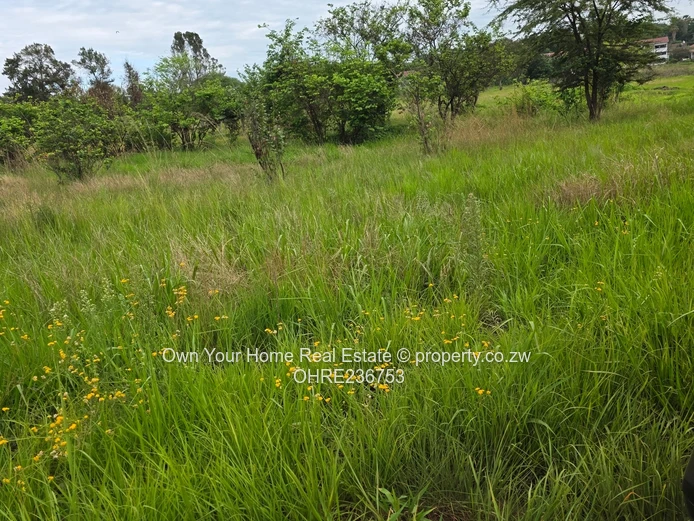 Mabelreign Residential stands