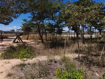 Roodsvlei stand for sale