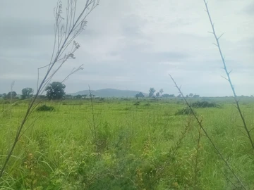 Farm & Agricultural Land